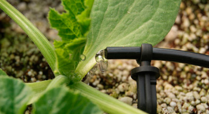5 Sistemas de Riego Innovadores para el Ahorro de Agua